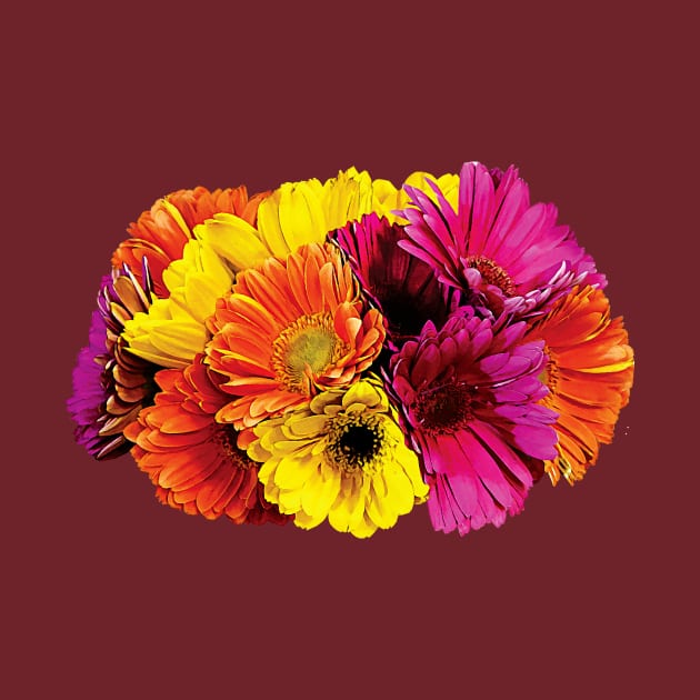 Daisies - Gerbera Daisies Mixed Colors by SusanSavad