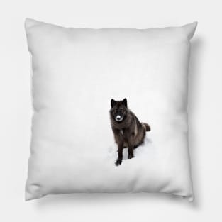 Black Wolf in winter Pillow