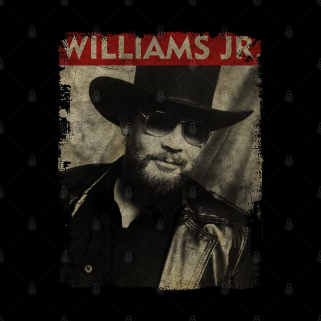 TEXTURE ART- Hank Williams Jr. - RETRO STYLE 2 by ZiziVintage