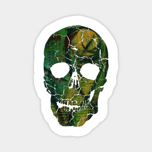 Vaulted Emptiness Skull Magnet