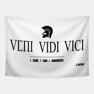 VENI VIDI VICI. I CAME. I SAW. I CONQUERED. J. CAESAR Tapestry