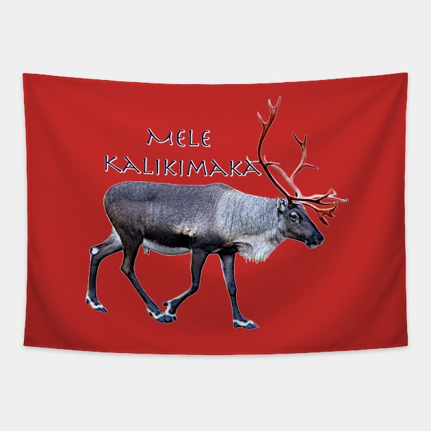 Mele Kalikimaka Tapestry by FotoJarmo