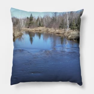 Beautiful View Pillow