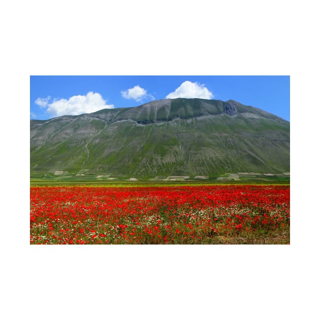 Mount Vettore and poppies by annalisa56