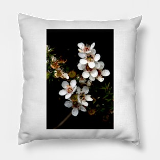 Prickly Tea Tree Pillow