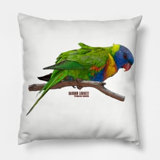 Rainbow Lorikeet_03C Pillow