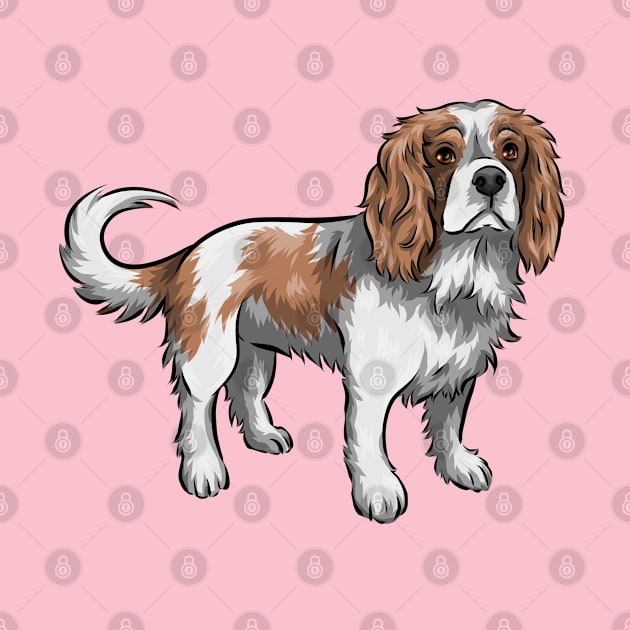 Cavalier King Charles Spaniel Dog | Blenheim by Shirin Illustration