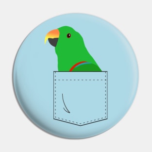 Eclectus Male Parrot In Your Front Pocket Pin