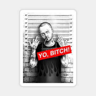 Jesse Pinkman You knew this would happen Magnet