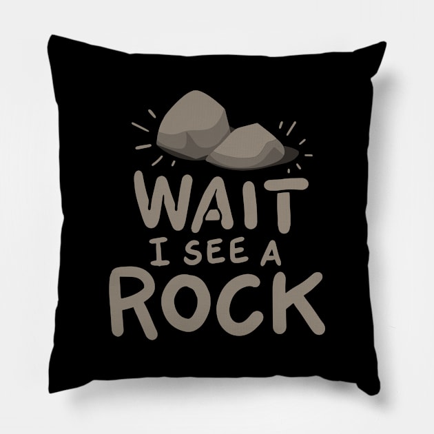 Geology - Wait I See A Rock Pillow by Shiva121