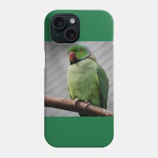 Perched Parakeet Phone Case