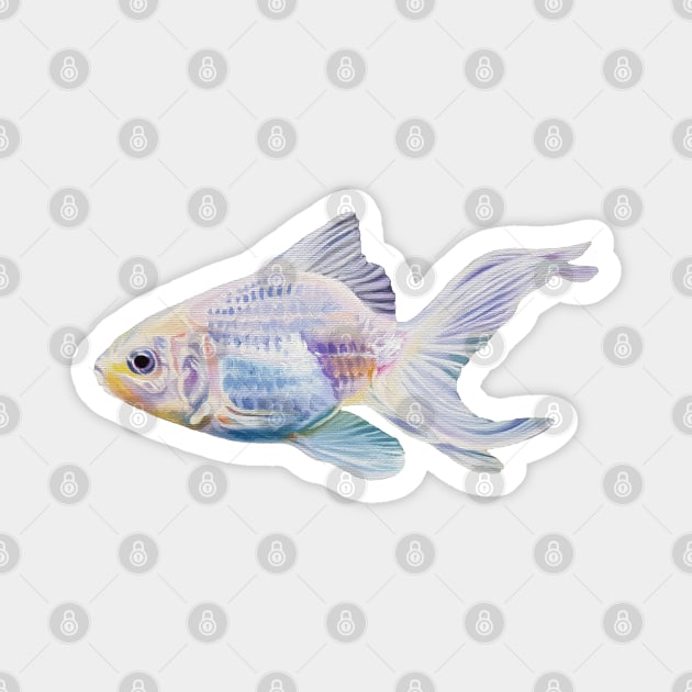 White Goldfish #2 - fish painting (no background) Magnet by EmilyBickell