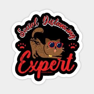 Social Distancing Expert Cat Lover Magnet