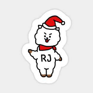 RJ Magnet