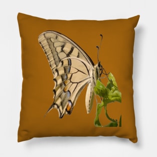 Swallowtail Butterfly Vector Isolated Pillow