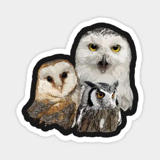 Owls Magnet