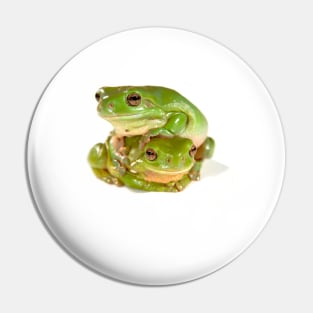 Green tree frogs, one on top of the other Pin