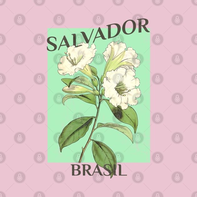 Salvador Brazil Floral Illustration by Pico Originals