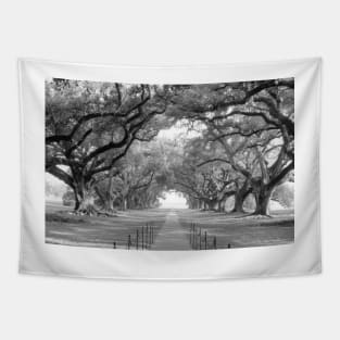 Brick Path Through Alley Of Oak Trees Tapestry