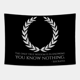 Classical Ancient Greek Philosopher Socrates Quote On Wisdom Tapestry