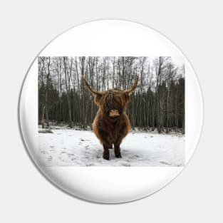 Scottish Highland Cattle Cow 2250 Pin