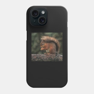 Squirrel shelter Phone Case