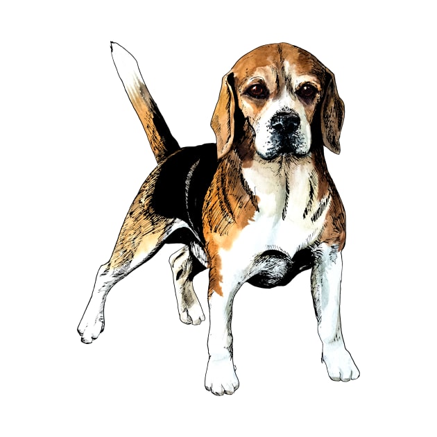 beagle by VicaVeresk