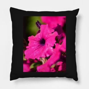 Fresh pink petunia blossom Pillow