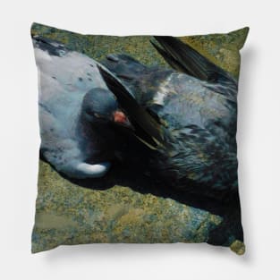 Pigeon pals Pillow