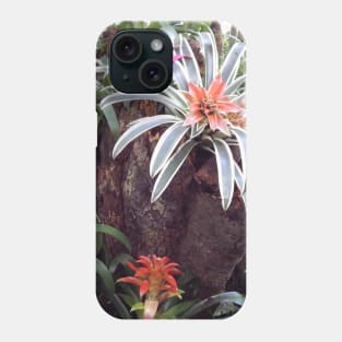 Bromeliads in Brazil Phone Case