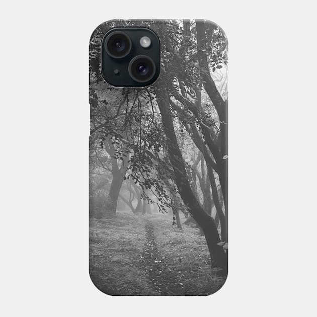 Foggy morning Phone Case by CarlaSophia