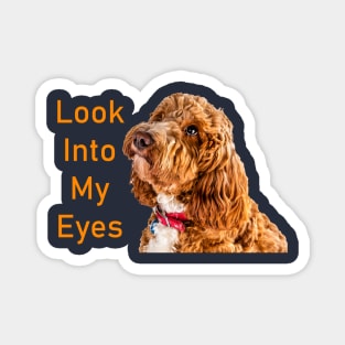 Look Into My Eyes Magnet