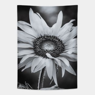 Sunflower Hour, Black and White Photograph Tapestry