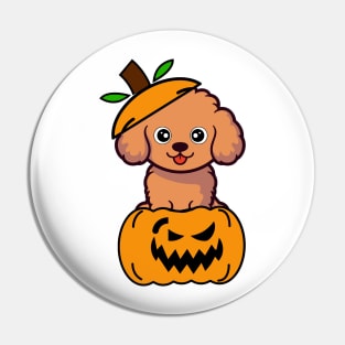 Cute Brown Dog is in a pumpkin Pin