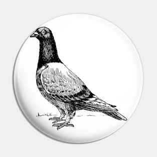 Pigeon Pin