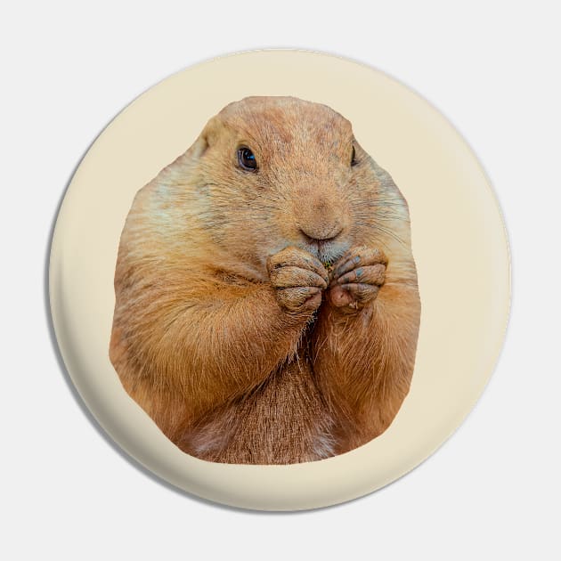 Cute Prairie dog Pin by dalyndigaital2@gmail.com