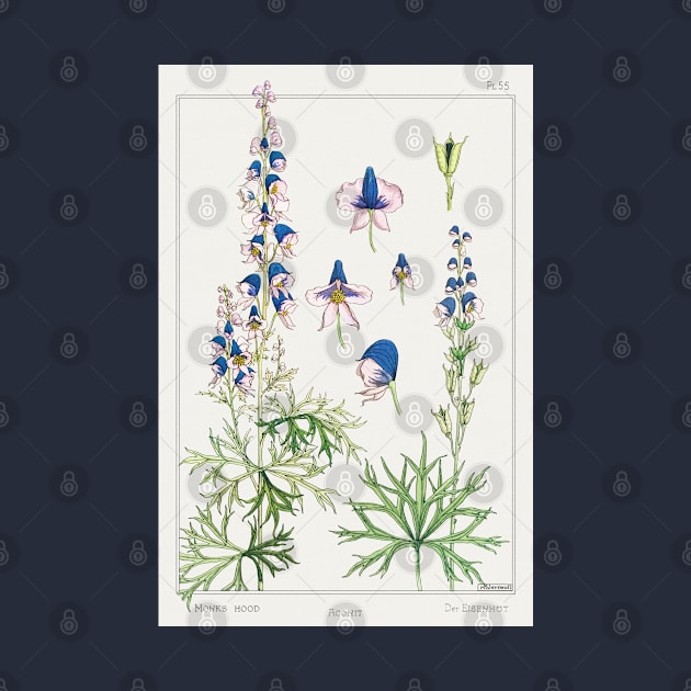 Maurice Pillard Verneui's 1896 "Monkshood" by Kitchen Sink Stickers and More!