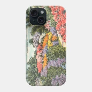 Rainbow Tropical Gardens, Boynton Beach, Fla. postcard Phone Case