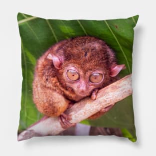 Tarsier, Bohol, Philippines Pillow