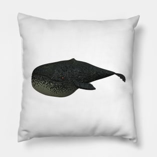 Whale 4 Pillow