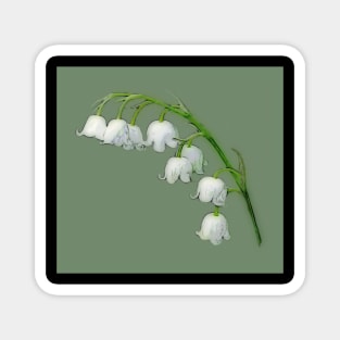 LILY OF THE VALLEY Magnet