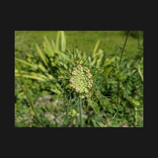 Pink Flowers Sprouting in Green Spikes T-Shirt