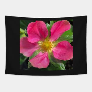 Pink Summer Rose Tapestry