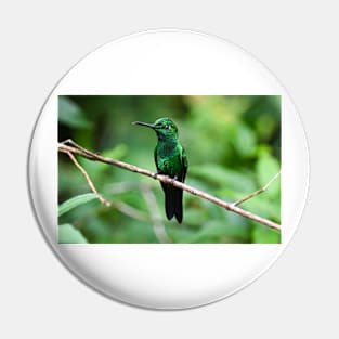 Hummingbird Pin