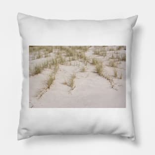 Beach Grass Pillow