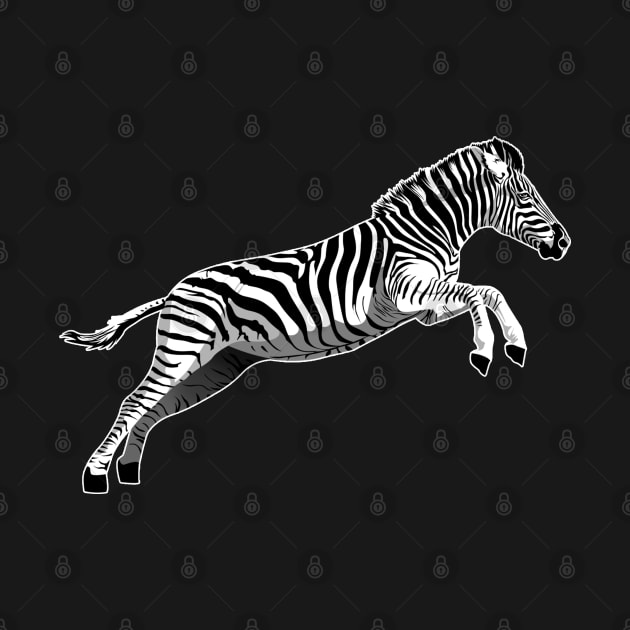 Jumping zebra by ilhnklv
