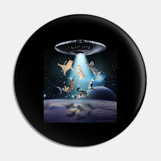 Cat Galaxy Cat Ufo Space Loves Cats Owner Pin