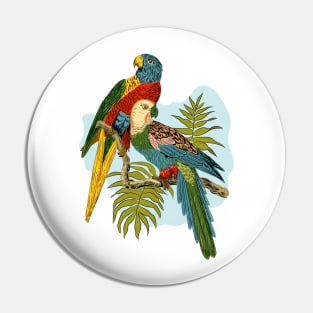 Two Colorful Parrots Tropical Plant Illustration Pin