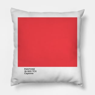 pantone 18-1651 TCX Cayenne Pillow