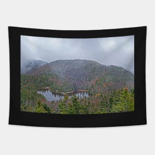 Overlooking Marie Louise Lake Adirondacks Tapestry